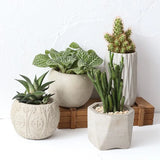 Vaso de flores de cimento molde de silicone planta verde vaso de flores molde de concreto mobiliário doméstico bacia molde de silicone