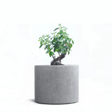 Moldes grandes do plantador do silicone, Vaso redondo concreto, Embarcação grande da vela, Pote de plantas de armazenamento