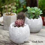 Vaso de silicone de cimento, molde manual, artesanato, suculentas, forma de padrão criativo, design, planta, bacia, coruja, molde