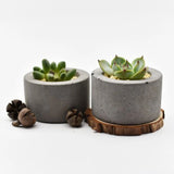 Vaso de flores de cimento molde de silicone planta verde vaso de flores molde de concreto mobiliário doméstico bacia molde de silicone